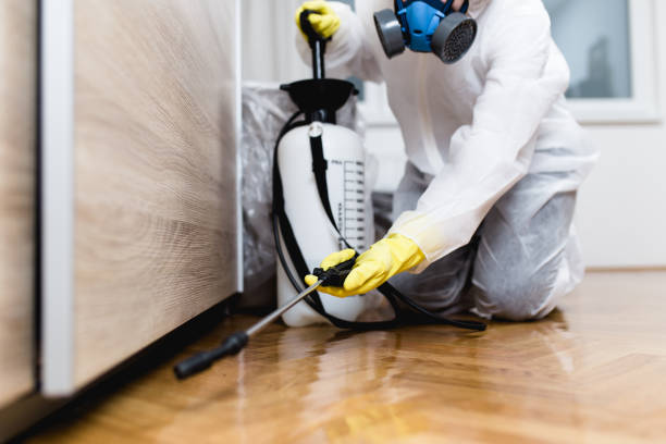 Best Wasp Removal Services  in Briggs, OK
