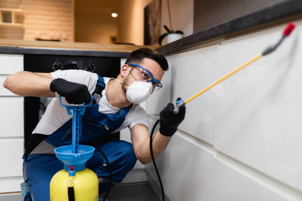 Best Commercial Pest Control Services  in Briggs, OK