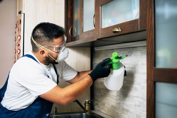 Best Local Pest Control Services  in Briggs, OK