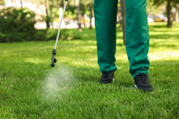 Best Pest Inspection Near Me  in Briggs, OK