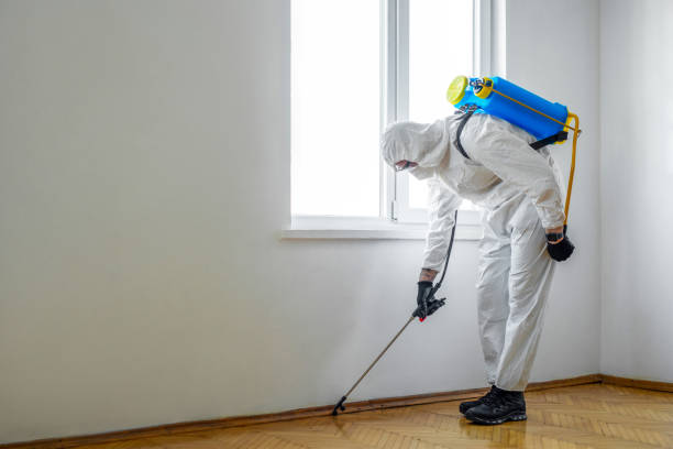 Best Pest Control for Homes  in Briggs, OK