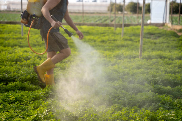 Best Pest Control for Businesses  in Briggs, OK