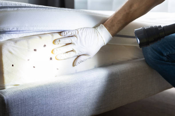 Best Commercial Pest Control Services  in Briggs, OK