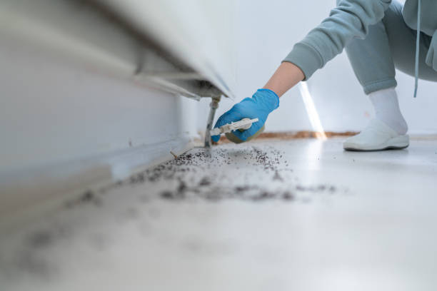 Best Residential Pest Control  in Briggs, OK