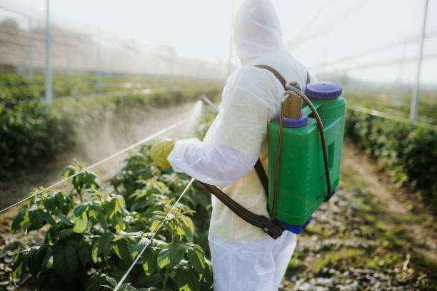 Reliable Briggs, OK Pest Control Solutions